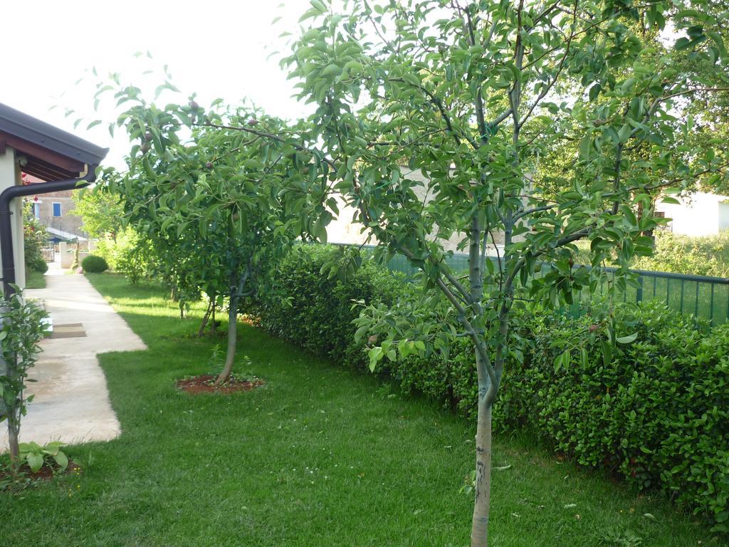 Apartmani Radin Rosini 외부 사진