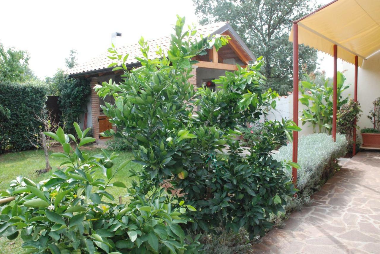 Apartmani Radin Rosini 외부 사진